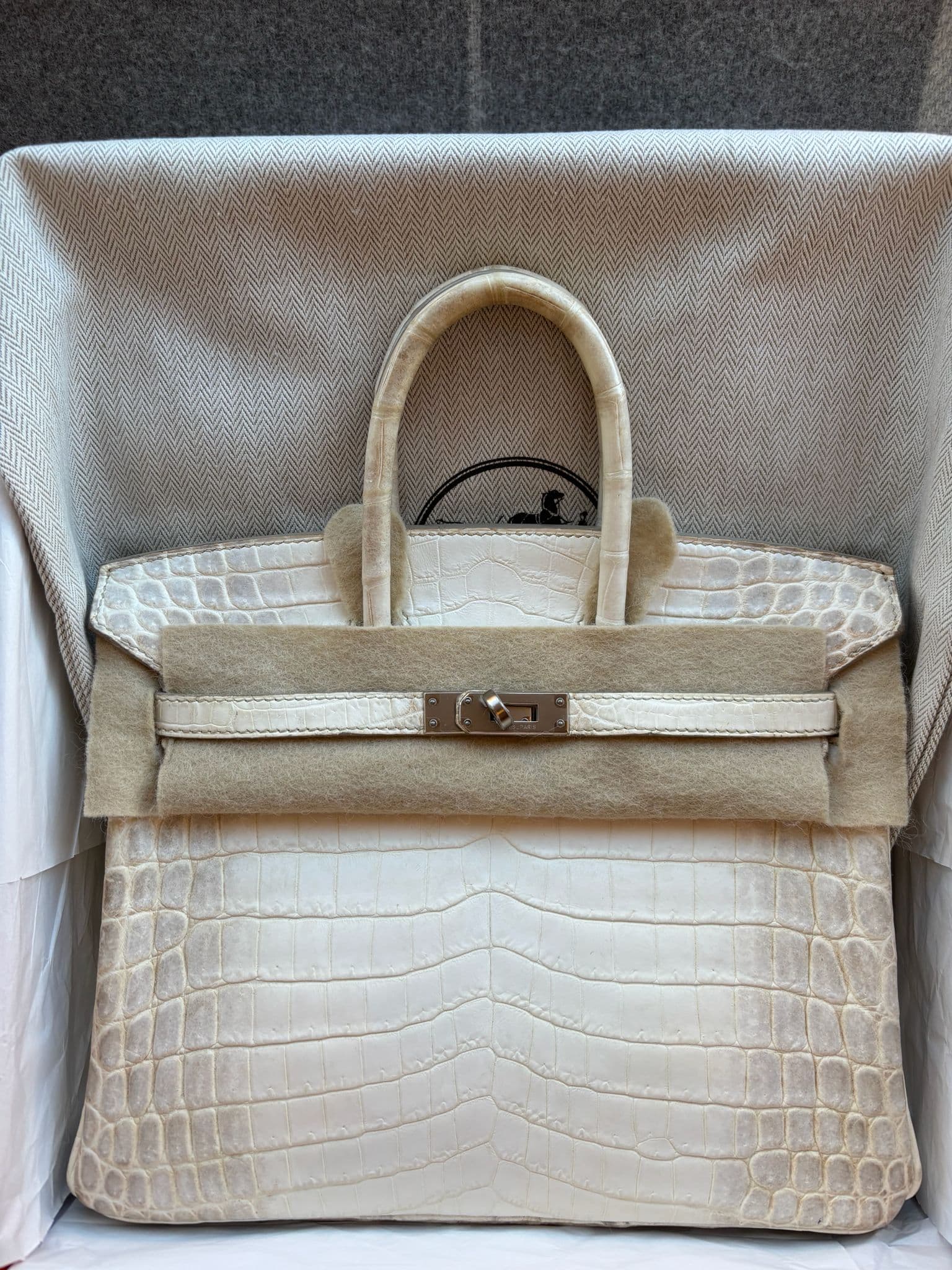 Hermès Birkin 25 Himalayan Niloticus Crocodile PHW