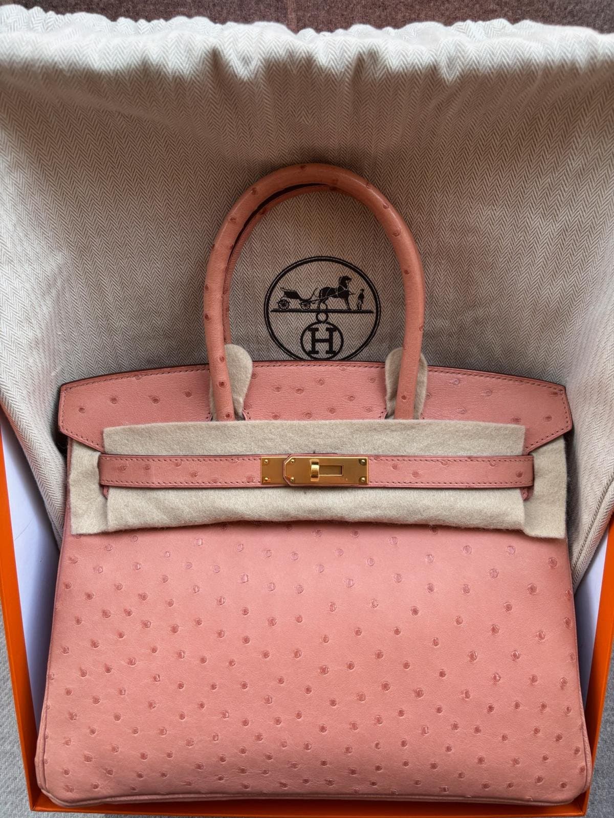 Hermès Birkin 30 in Terre Cuite Ostrich GHW hardware