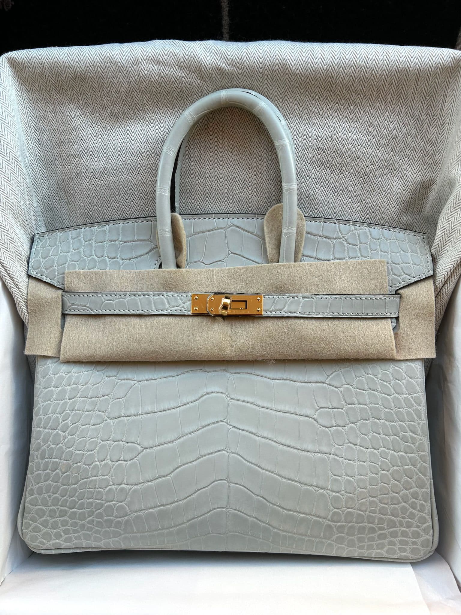 Hermès Birkin 25 in Gris Neve Matt Alligator GHW hardware — front view