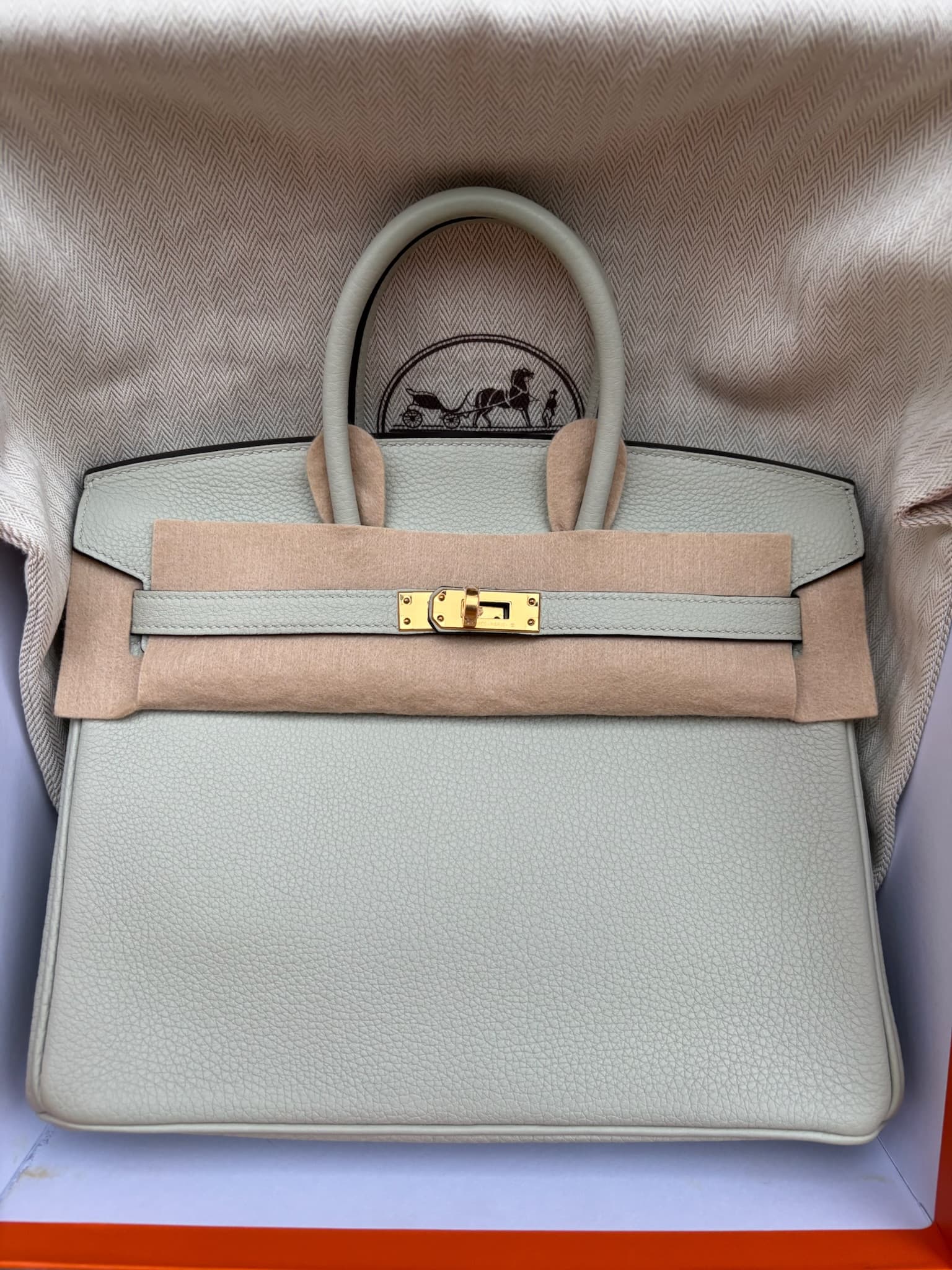 Hermès Birkin 25 in Gris Neve Togo GHW hardware — front view