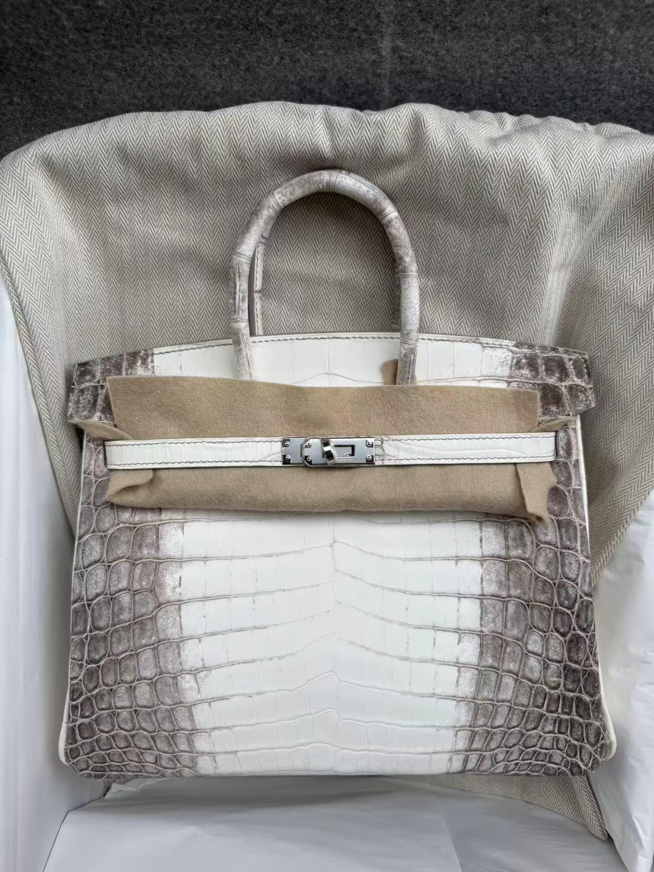 Hermès Birkin 25 in Himalayan Niloticus Crocodile PHW hardware — front view