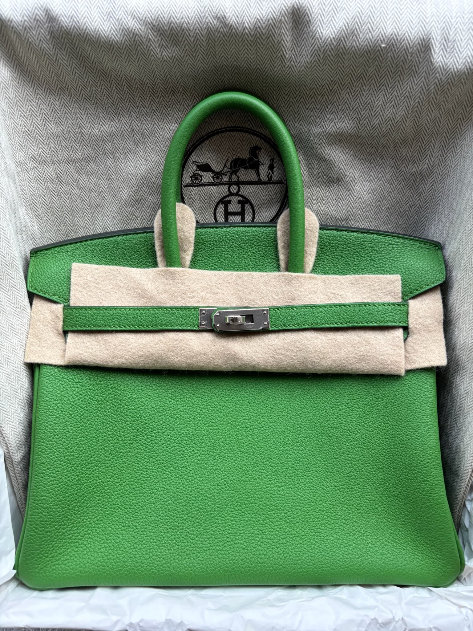 Hermès Birkin 25 in Vert Yucca Togo PHW hardware — front view
