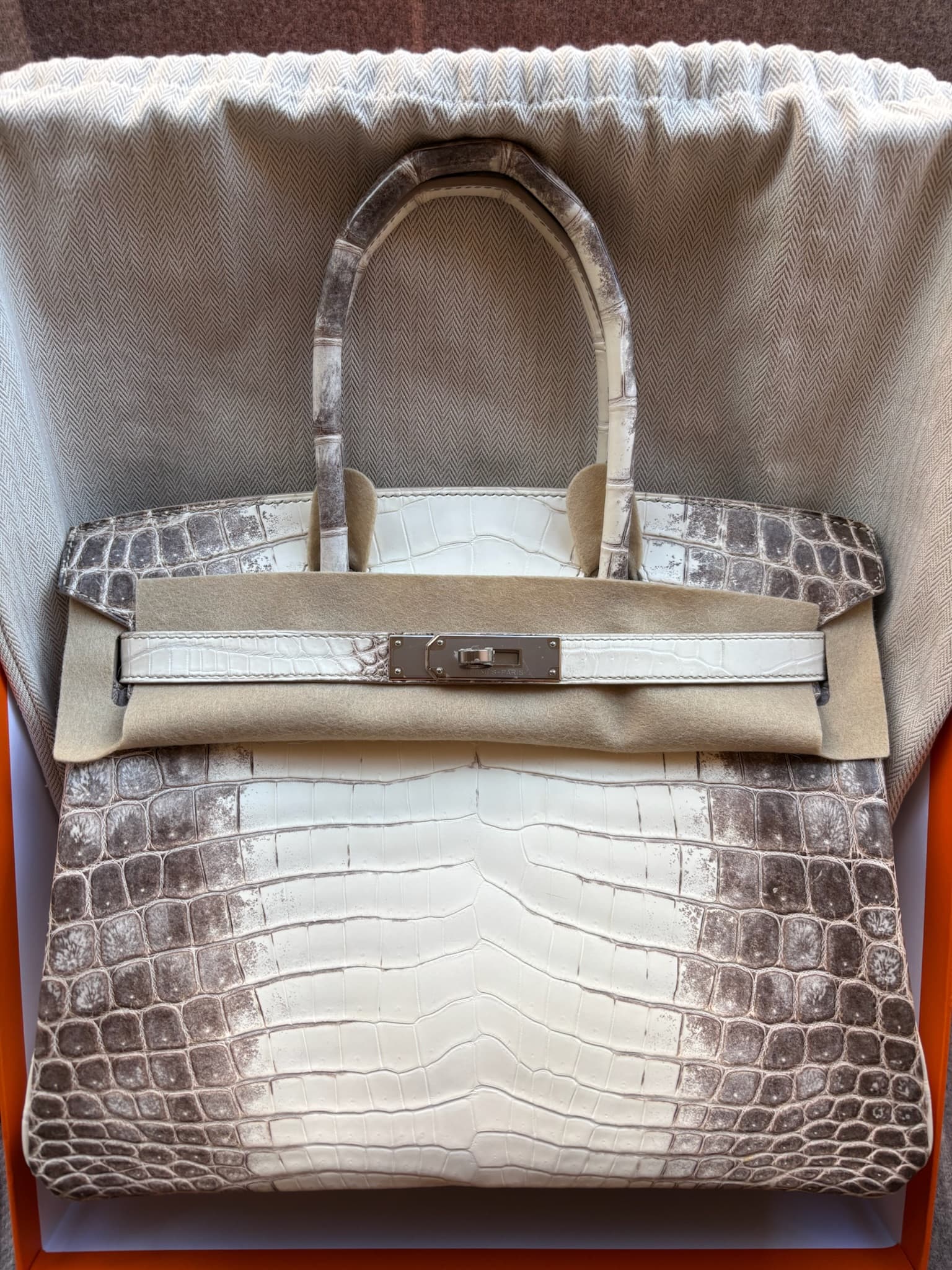 Hermès Birkin 30 in Himalayan Niloticus Crocodile PHW hardware — front view