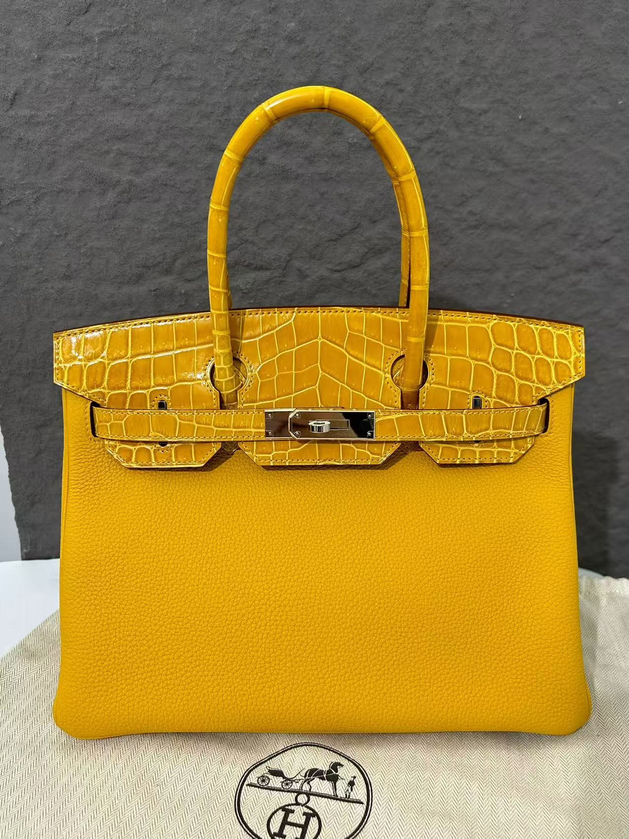 Hermès Birkin 30 Touch — front view