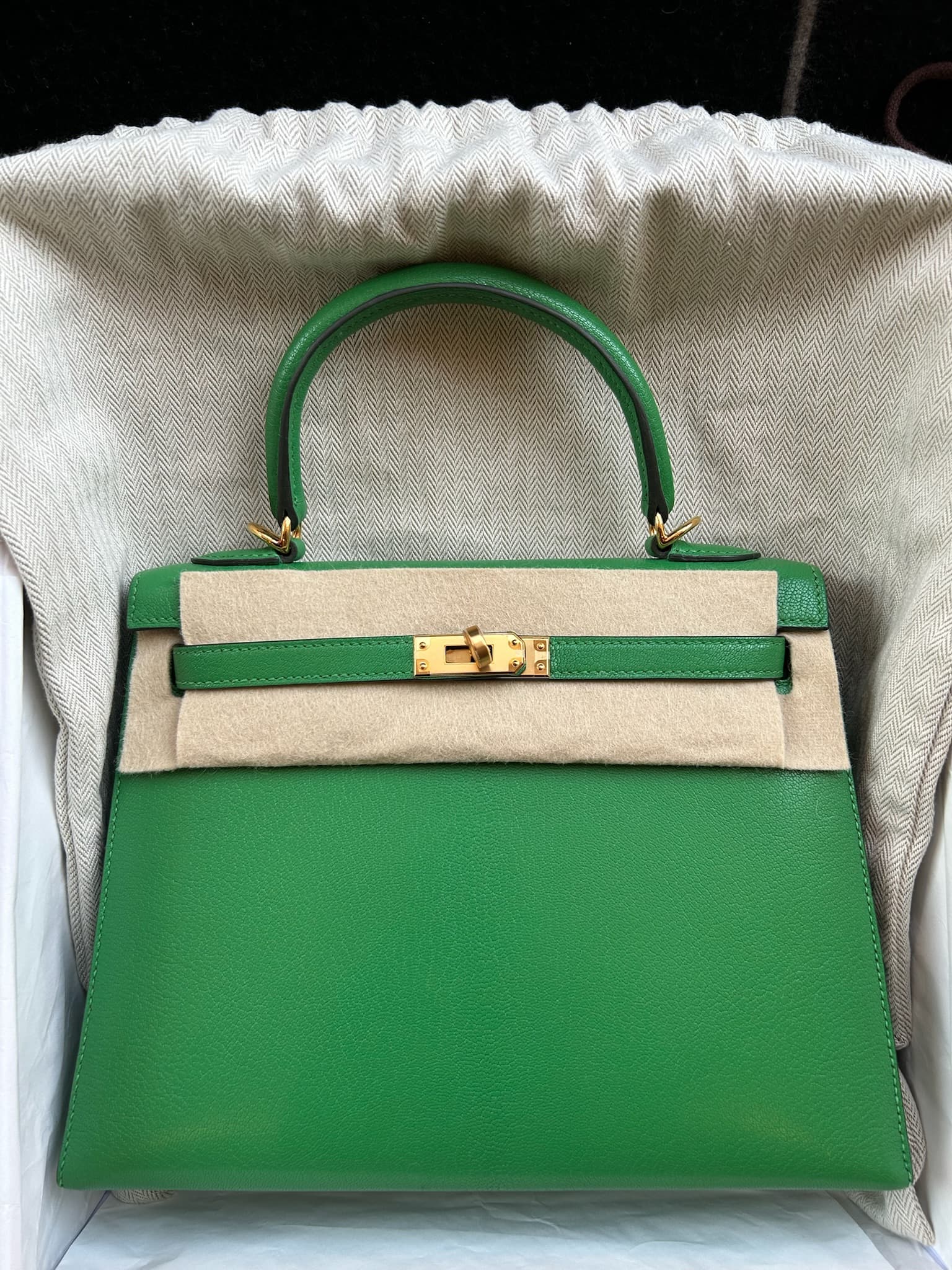 Hermès Kelly 25 in Bamboo Chèvre GHW hardware — front view