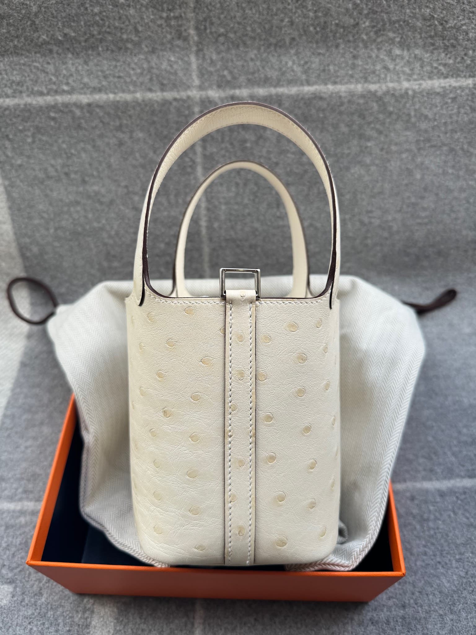 Hermès Picotin Micro 14 in Nata Ostrich PHW hardware